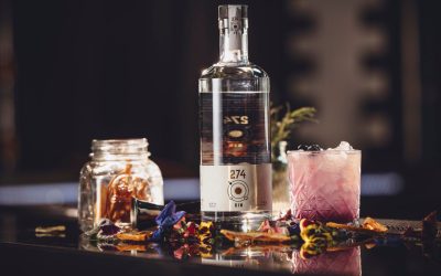 Como hacer un Gin Blueberry